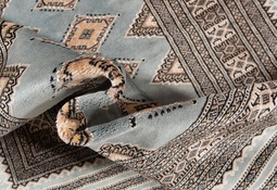 Pakistan Bokhara