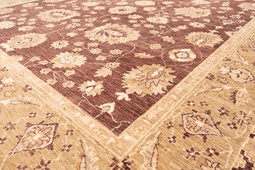 Ziegler Farahan