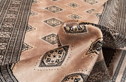 Pakistan Bokhara